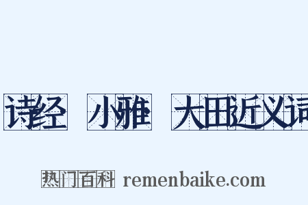 诗经·小雅·大田近义词是什么意思的图片